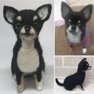 ペットそっくりの羊毛フェルト人形「てのりっこ」