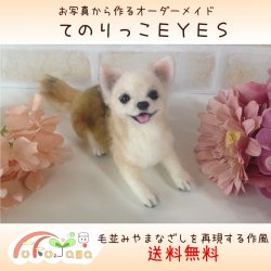 羊毛フェルト 犬 てのりっこ 通販