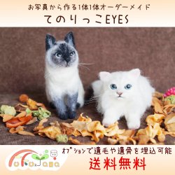 羊毛フェルト 猫 てのりっこ 通販