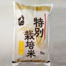 【令和5年産】　特別栽培米（無農薬）　キヌヒカリ　白米　5kg入