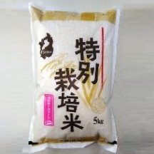 【令和5年産】　特別栽培米（無農薬）　ミルキークイーン　白米　5kg入