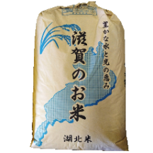 現在新規受付不可【年間予約】減農薬米　コシヒカリ　白米　27kg　（12ヶ月・毎月ご購入特価）