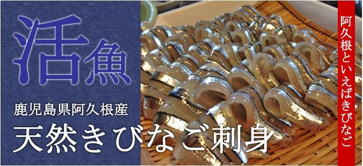 ¼¯»ùÅ縩°¤µ×º¬»ºÅ·Á³¤¤Ó¤Ê¤´»É¿È