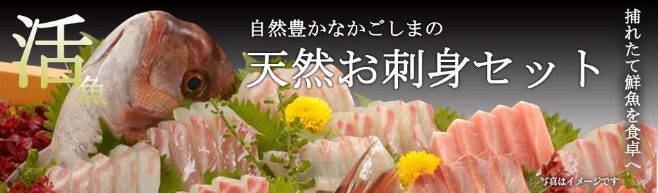 ¥á¥¤¥ó¥Ó¥å¥¸¥å¥¢¥ë1