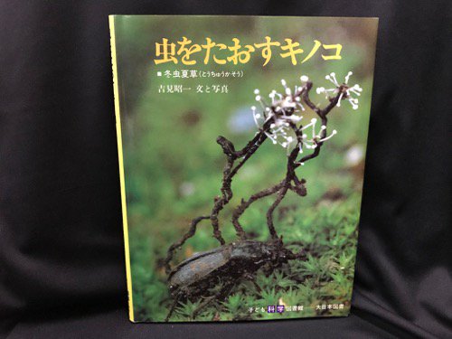 虫をたおすキノコ 冬虫夏草 - 古書・レコード・CD｜トマト書房