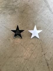 STAR PIN