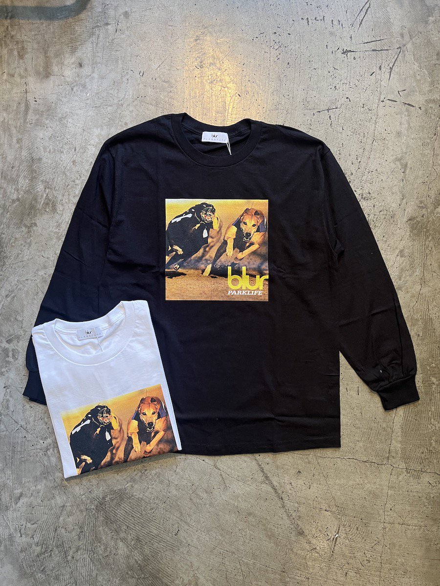 F-LAGSTUF-F BLUR PARK LIFE LS TEE-