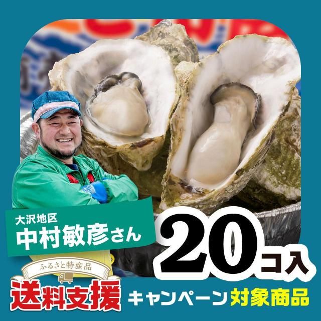 ٱ祭ڡоݾʡۡڻԲġ¼ɧμǤåȡ20Ǯѡ