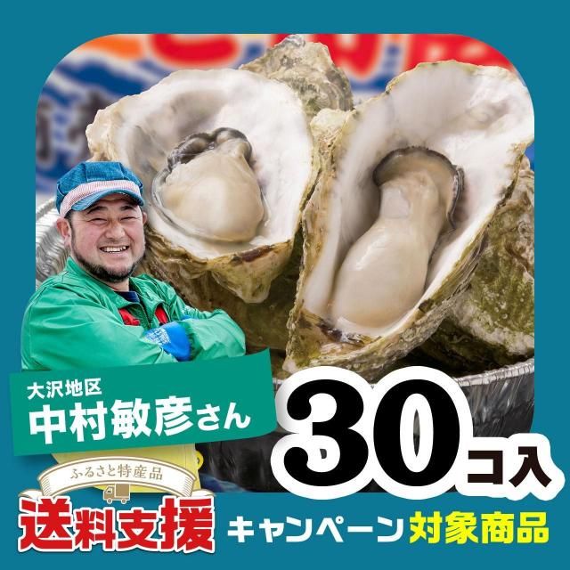 ٱ祭ڡоݾʡۡڻԲġ¼ɧμǤåȡ30Ǯѡ