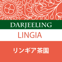 リンギア茶園