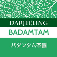 バダンタム茶園（完売）