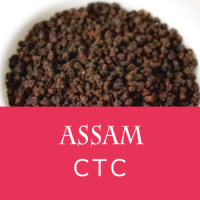 CTCå