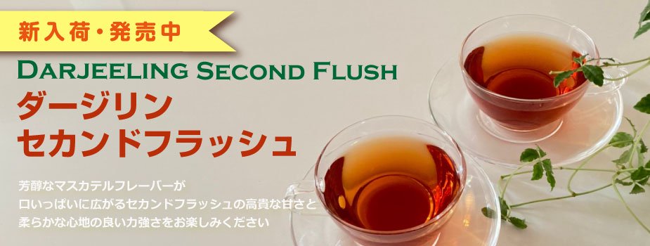 2024,SECONDFLUSH,ɥեå,Ŧ,,,