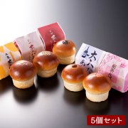 [期間限定]春の平井製菓あんパン食べ比べセット（5種類/5個入り）
