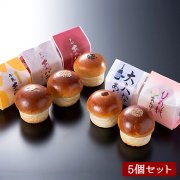 [期間限定]初夏の平井製菓あんパン食べ比べセット（5種類/5個入り）