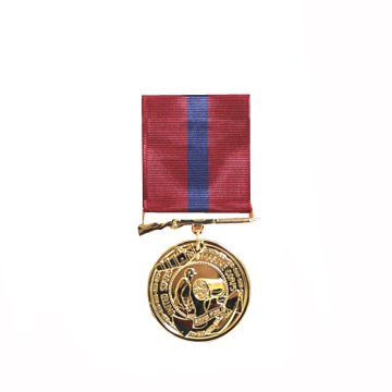 兵隊の勲章