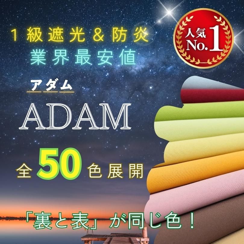 ADAM ۥƥͤ 1׸ɱꥪƥ
