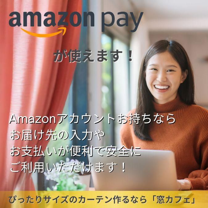 AmazonpayѲǽ