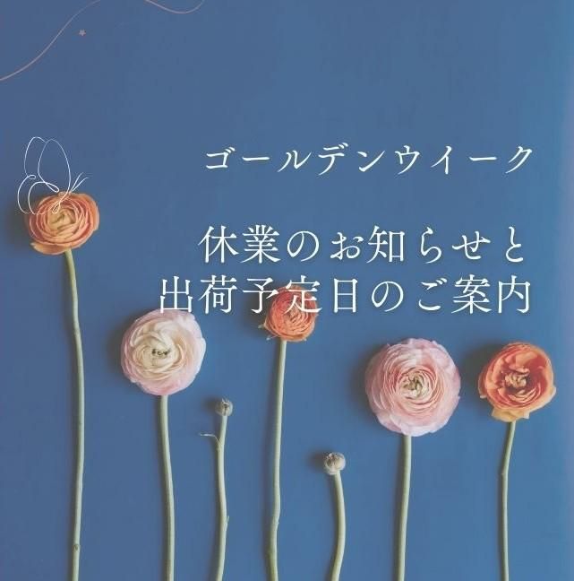 5つ星!オーダーカーテンが安い|高品質な激安通販【窓カフェ】 5つ星!オーダーカーテンが安い|高品質な激安通販【窓カフェ】
