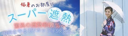 ѡǮ졼ƥý