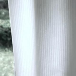 <img class='new_mark_img1' src='https://img.shop-pro.jp/img/new/icons14.gif' style='border:none;display:inline;margin:0px;padding:0px;width:auto;' />ペイトーWH(レース価格A）