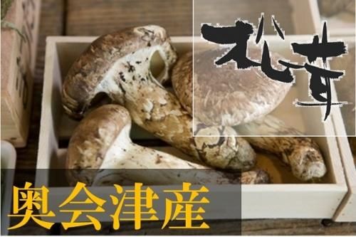 国産】【天然きのこ（キノコ）】 国産松茸 （並）大きさ不揃い 約150g