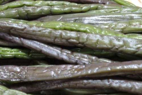 国産】【天然山菜】塩漬け（塩蔵）紫わらび 500g 2025年産 添加