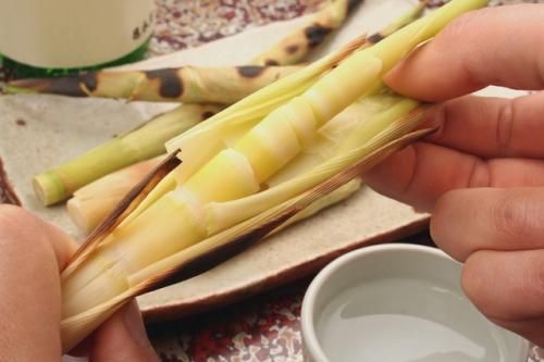 姫竹 （ ネマガリダケ ） 販売・通販 【 天然きのこ山菜.com 】