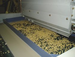 腐り豆・割れた豆等を仕分けしながら大・中・小粒と選別していく