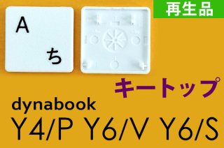 dynabook Y4/P Y6/V Y6/S  | ܡ | ȥå |  | ۥ磻 | ñ䡦Х 