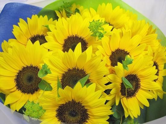 ひまわり18本の花束 名古屋の花屋 めぐみこ ひまわり18本の花束 名古屋の花屋 めぐみこ