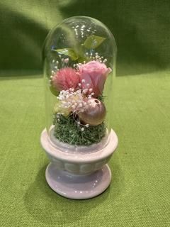 ŷʥԥ󥯡(ץꥶ֥ɥե)
