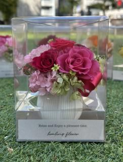 쥬ȡʥ饺٥꡼ԥ󥯡