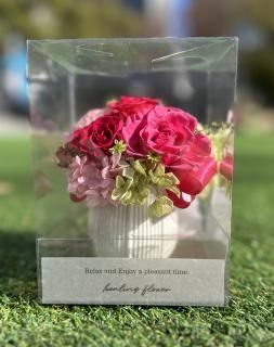 쥬ȡʥ饺٥꡼ԥ󥯡