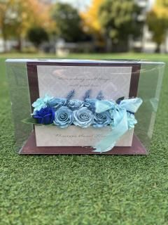 磻ɥȥܥܥåʥ֥롼