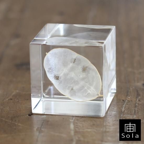 宙 Sola Sola Cube ルナリア Iraka 宙 Sola Sola Cube ルナリア Iraka