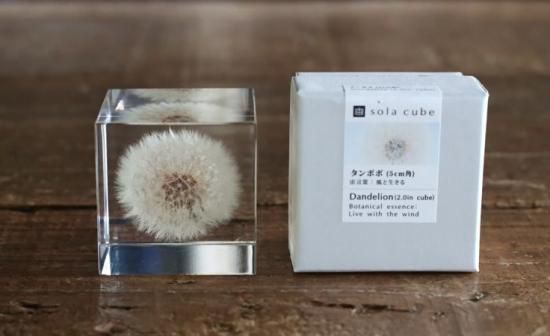 sola cube 宙-sola- タンポポ 5cm角 アクリルキューブ iraka