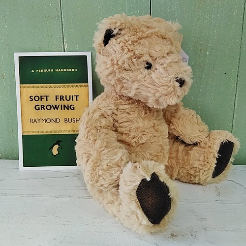 Jellycat「Edward Bear」Sサイズ- イギリス雑貨COTSWOLDS