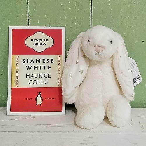 jellycat bashful twinkle bunny