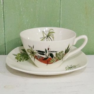 MIDWINTER 「Plant Life カップ&ソーサー」Design by Terence Conran