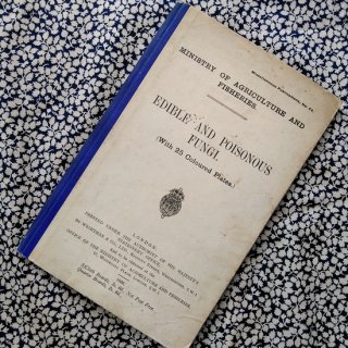 英国きのこヴィンテージ本「Edible and Poisonous Fungi」  1926年 キノコ