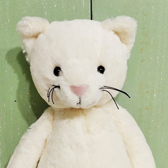 Jellycat 「Bashful Cream Kitten M」（バシュフル 白いネコ）/ジェリーキャット - イギリス雑貨COTSWOLDS