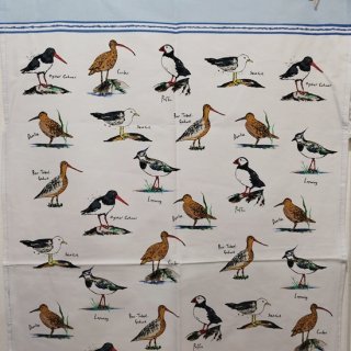 ƥUlster Weavers Coastal BirdsʳĻˡ 