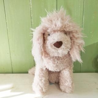 <img class='new_mark_img1' src='https://img.shop-pro.jp/img/new/icons12.gif' style='border:none;display:inline;margin:0px;padding:0px;width:auto;' />JellycatGeorgiana Poodleץ硼ʥסɥ ꡼å
