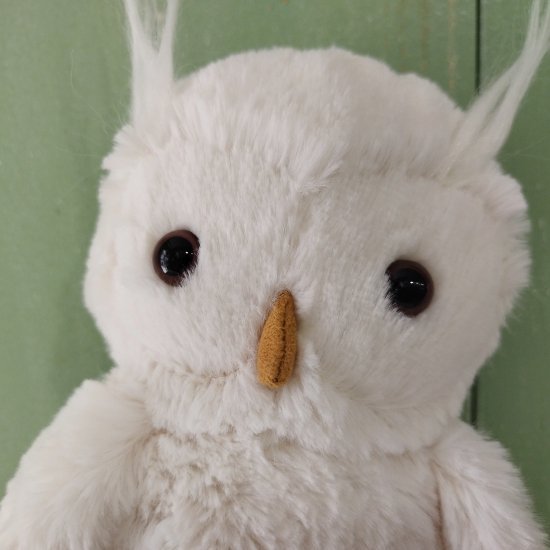 Jellycat 「Bashful Owl M」（バシュフルオウル）白いフクロウ/ジェリーキャット - イギリス雑貨COTSWOLDS