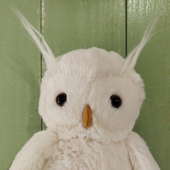 Jellycat 「Bashful Owl M」（バシュフルオウル）白いフクロウ/ジェリーキャット - イギリス雑貨COTSWOLDS