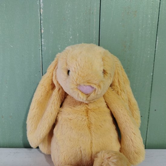 Jellycat「Bashful Sunshine Bunny M」（バシュフルサンシャインバニー・Mサイズ）ジェリーキャット-  イギリス雑貨COTSWOLDS