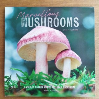 <img class='new_mark_img1' src='https://img.shop-pro.jp/img/new/icons12.gif' style='border:none;display:inline;margin:0px;padding:0px;width:auto;' />Marvellous Mushrooms Calendar 2025 ֤Τ  2025ǯ 