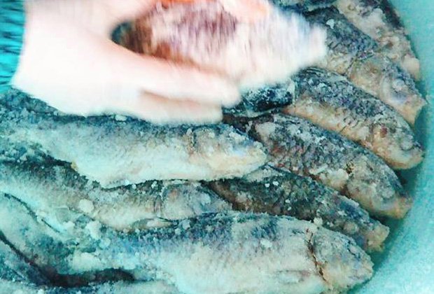 マイ鮒寿し作りませんか？漁師中村の塩切鮒 - 琵琶湖の美味しい湖魚を 