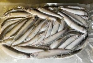 冷凍】琵琶湖天然小鮎600g（板300g×2） - 琵琶湖の美味しい湖魚を食卓へ 中村水産